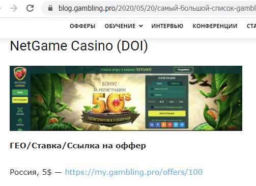 Netgame Casino Gambling Pro