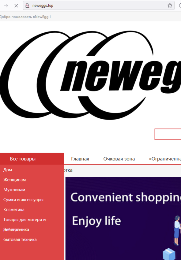 NewEgg proverka sajtov