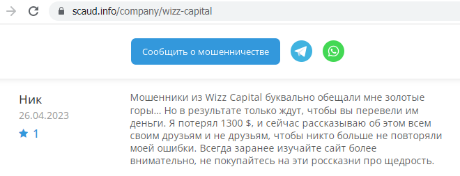Wizz Capital realnye otzyvy